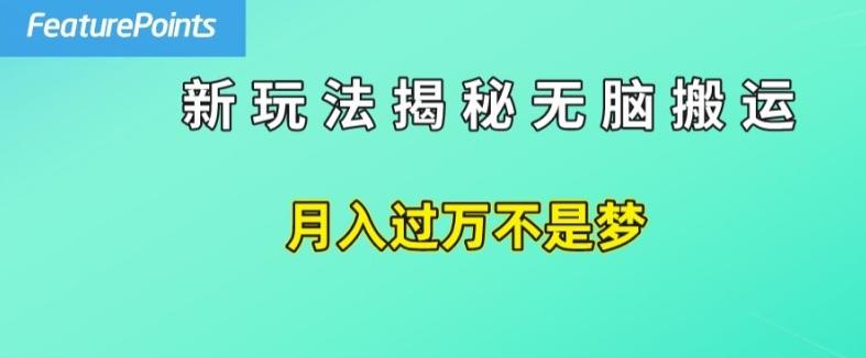 简单操作，每天50美元收入，搬运就是赚钱的秘诀【揭秘】-禾谷轻创网