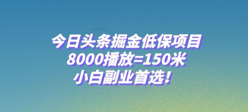 今日头条掘金低保项目，8000播放=150米，小白副业首选【揭秘】-禾谷轻创网