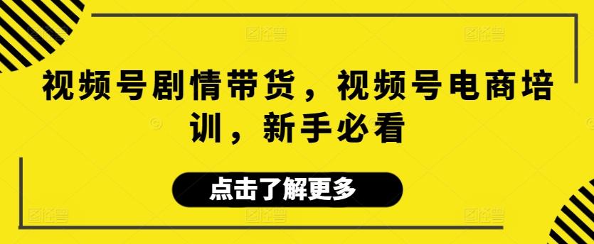 视频号剧情带货，视频号电商培训，新手必看-禾谷轻创网