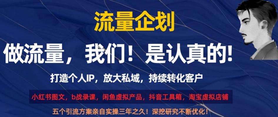 流量企划，打造个人IP，放大私域，持续转化客户【揭秘】-禾谷轻创网
