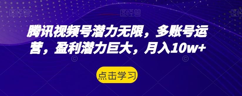 腾讯视频号潜力无限，多账号运营，盈利潜力巨大，月入10w+-禾谷轻创网