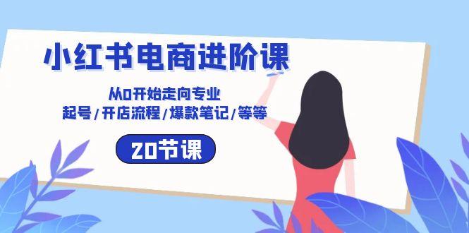 小红书电商进阶课：从0开始走向专业 起号/开店流程/爆款笔记/等等(20节-禾谷轻创网