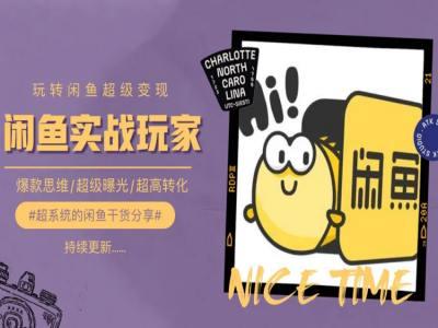 手把手教你0到1系统玩转闲鱼变现，爆款思维/超级曝光/超高转化-禾谷轻创网