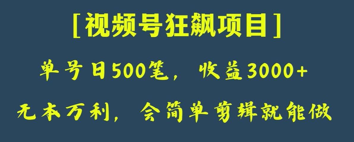 日收款500笔，纯利润3000+，视频号狂飙项目，会简单剪辑就能做【揭秘】-禾谷轻创网