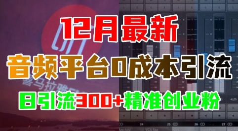 12月最新：音频平台0成本引流，日引流300+精准创业粉-禾谷轻创网