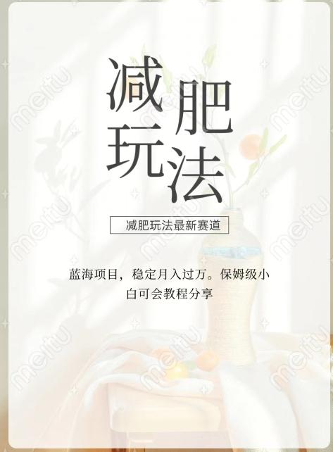减肥流量主新玩法，轻松月入1W，可矩阵操作收入翻倍-禾谷轻创网
