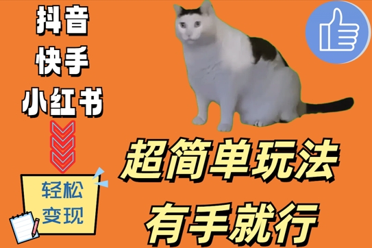 超简单玩法，有手就行，靠猫咪视频日入500+【揭秘】-禾谷轻创网