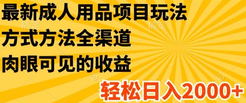 最新成人用品项目玩法，方式方法全渠道，轻松日入2K+【揭秘】-禾谷轻创网
