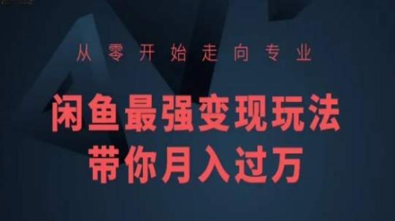 从零开始走向专业，闲鱼最强变现玩法带你月入过万-禾谷轻创网