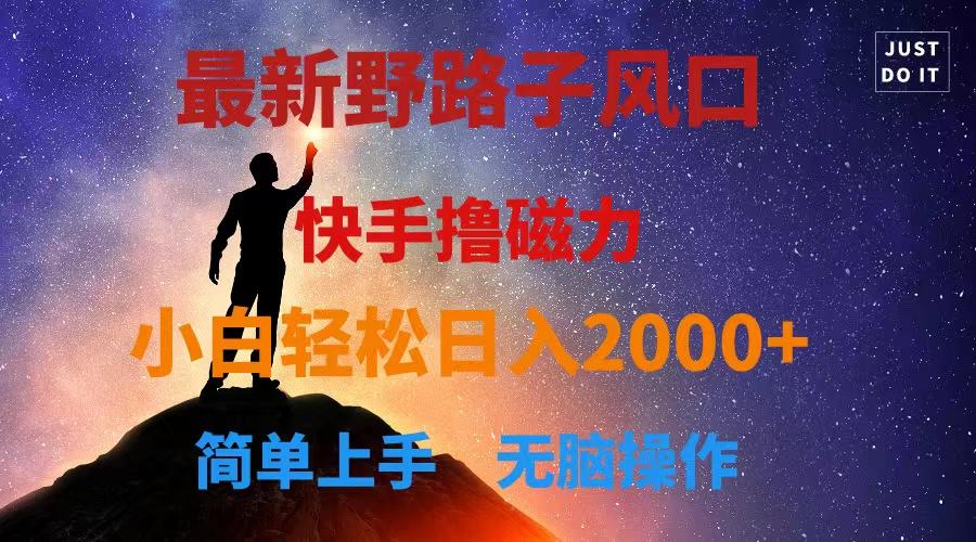 最新风口！快手撸磁力，野路子，小白无脑操作日入2000+-禾谷轻创网