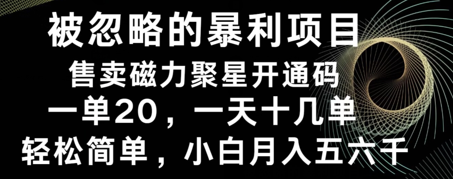 被忽略的暴利项目！售卖磁力聚星开通码，一单20，一天十几单，轻松月入五六千-禾谷轻创网