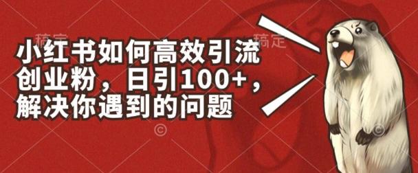 小红书如何高效引流创业粉，日引100+，解决你遇到的问题【揭秘】-禾谷轻创网