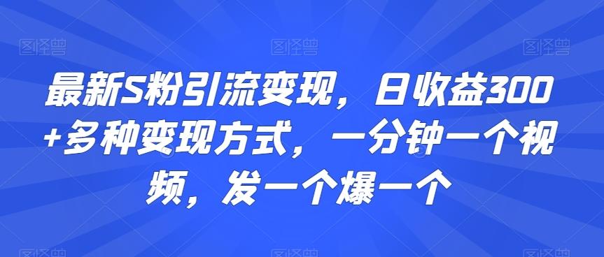 最新S粉引流变现，日收益300+多种变现方式，一分钟一个视频，发一个爆一个【揭秘】-禾谷轻创网