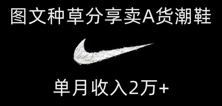 靠图文种草分享卖A货潮鞋，每天一小时，单月收入2万+【揭秘】-禾谷轻创网