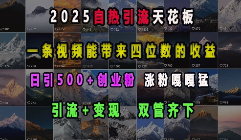2025自热引流天花板，一条视频能带来四位数的收益，引流+变现双管齐下，日引500+创业粉，涨粉嘎嘎猛-禾谷轻创网