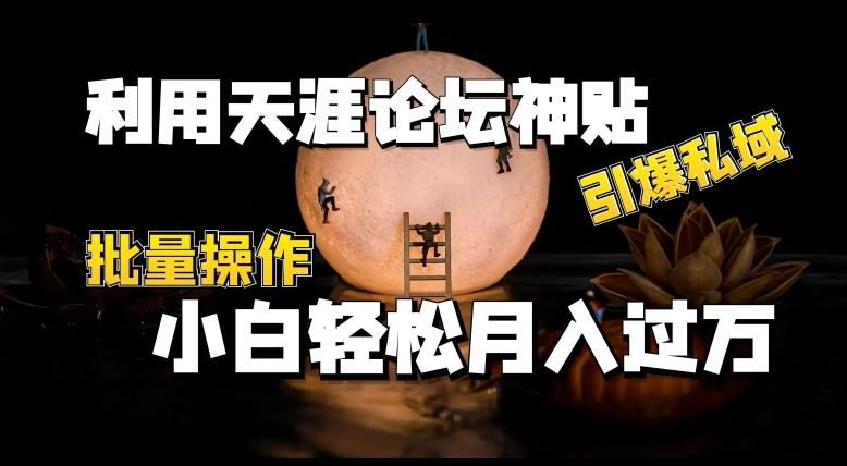 利用天涯论坛神贴，引爆私域，批量操作，小白轻松月入过w【揭秘】-禾谷轻创网