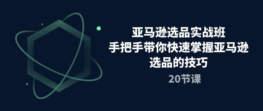 亚马逊选品实战班，手把手带你快速掌握亚马逊选品的技巧(20节课-禾谷轻创网