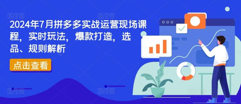 2024年7月拼多多实战运营现场课程，实时玩法，爆款打造，选品、规则解析-禾谷轻创网