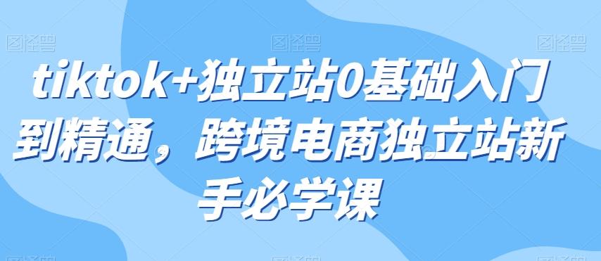 tiktok+独立站0基础入门到精通，跨境电商独立站新手必学课-禾谷轻创网