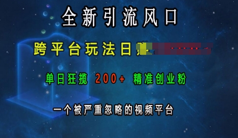 全新引流风口，跨平台玩法日入上k，单日狂揽200+精准创业粉，一个被严重忽略的视频平台-禾谷轻创网