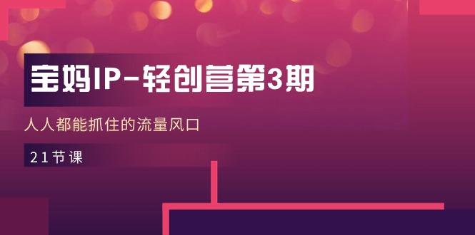 宝妈IP-轻创营第3期，人人都能抓住的流量风口(21节课-禾谷轻创网