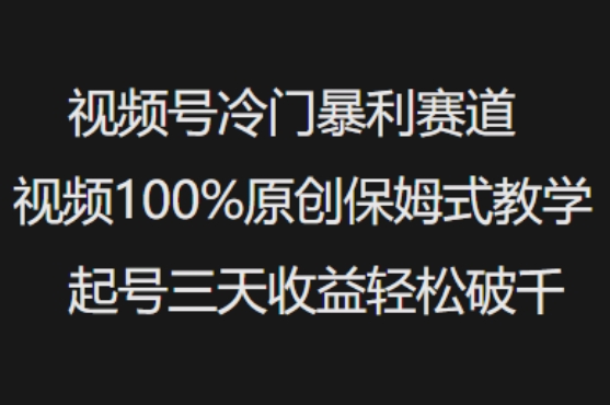 视频号冷门暴利赛道视频100%原创保姆式教学起号三天收益轻松破千-禾谷轻创网