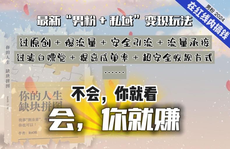 2024，“男粉+私域”还是最耐造、最赚、最轻松、最愉快的变现方式【揭秘】-禾谷轻创网