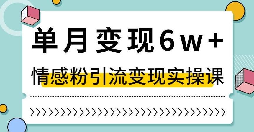 单月变现6W+，抖音情感粉引流变现实操课，小白可做，轻松上手，独家赛道【揭秘】-禾谷轻创网