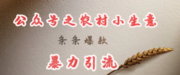 deepseek写农村小项目，条条爆款，暴力引流-禾谷轻创网