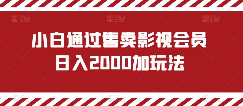 小白通过售卖影视会员日入2000加玩法-禾谷轻创网