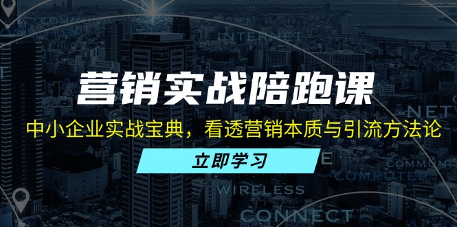 营销实战陪跑课：中小企业实战宝典，看透营销本质与引流方法论-禾谷轻创网