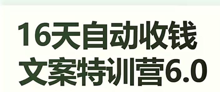16天自动收钱文案特训营6.0，学会儿每天自动咔咔收钱-禾谷轻创网