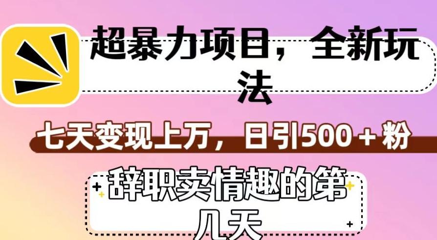 超暴利项目，全新玩法（辞职卖情趣的第几天），七天变现上万，日引500+粉【揭秘】-禾谷轻创网