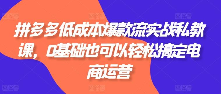拼多多低成本爆款流实战私教课，0基础也可以轻松搞定电商运营-禾谷轻创网