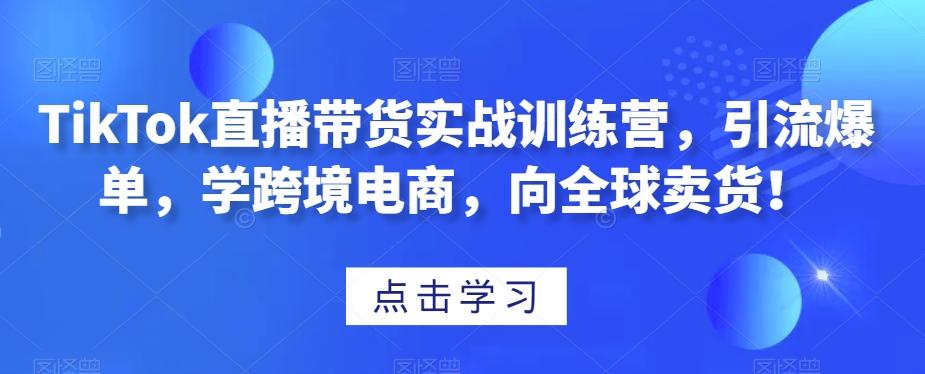 TikTok直播带货实战训练营，引流爆单，学跨境电商，向全球卖货！-禾谷轻创网