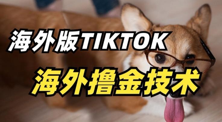 抖音海外版tiktok撸金技术，这个风口行业，赚钱真的不难【揭秘】-禾谷轻创网