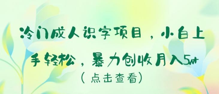 冷门成人识字项目，小白上手轻松，暴力创收月入5w+【揭秘】-禾谷轻创网