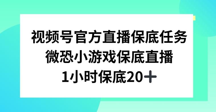 视频号直播任务，微恐小游戏，1小时20+【揭秘】-禾谷轻创网