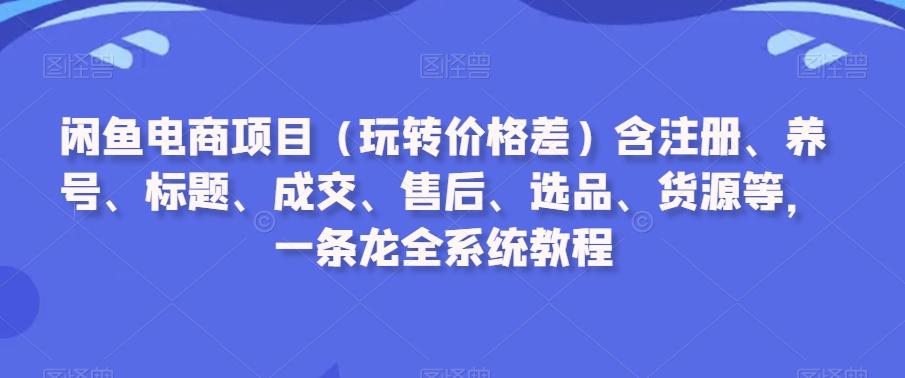 闲鱼电商项目(玩转价格差)含注册、养号、标题、成交、售后、选品、货源等，一条龙全系统教程-禾谷轻创网