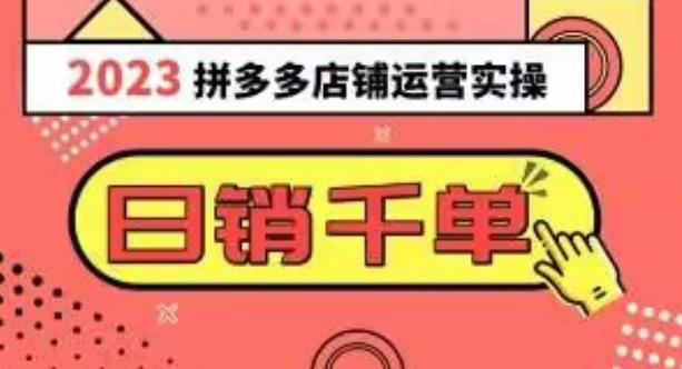 2023拼多多运营实操，每天30分钟日销1000＋，爆款选品技巧大全（10节课）-禾谷轻创网