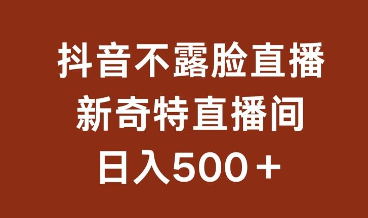 不露脸挂机直播，新奇特直播间，日入500+【揭秘】-禾谷轻创网