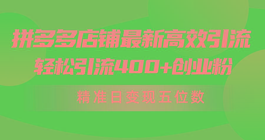 (10041期)拼多多店铺最新高效引流术，轻松引流400+创业粉，精准日变现五位数！-禾谷轻创网