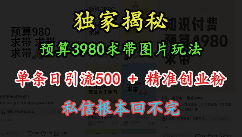 预算3980求带 图片玩法，单条日引流500+精准创业粉，私信根本回不完-禾谷轻创网