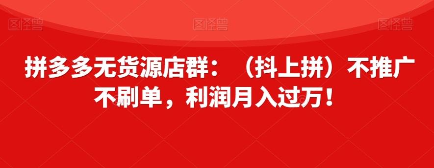 拼多多无货源店群：（抖上拼）不推广不刷单，利润月入过万！【揭秘】-禾谷轻创网