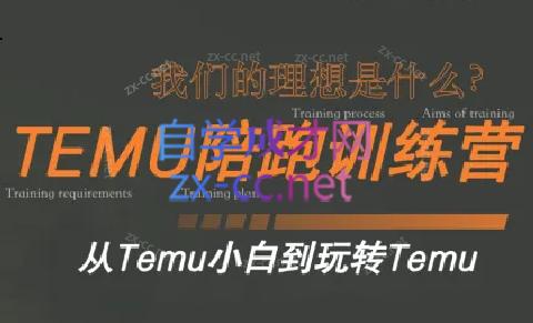 苗苗·拼多多跨境（temu）课程-禾谷轻创网