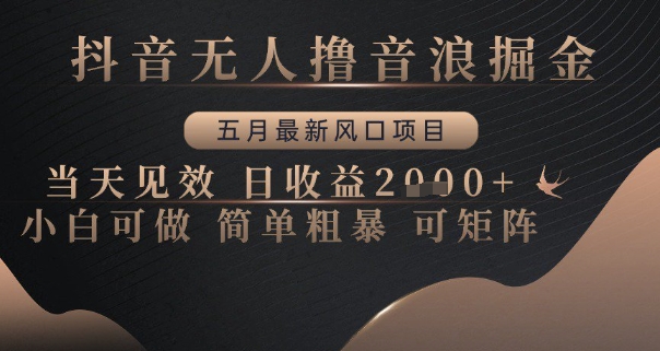 抖音无人撸音浪掘金，五月最新风口项目，当天见效，日收益多张，小白可做简单粗暴可矩阵【揭秘】-禾谷轻创网