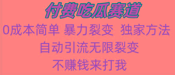 吃瓜付费赛道，暴力无限裂变，0成本，实测日入700+！！！-禾谷轻创网