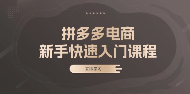 拼多多电商新手快速入门课程：涵盖基础、实战与选款，助力小白轻松上手-禾谷轻创网