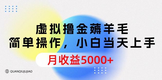 (9864期)虚拟撸金薅羊毛，简单操作，小白当天上手，月收益5000+-禾谷轻创网