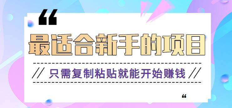 2024最适合新手操作的项目，新手小白只需复制粘贴就能开始赚钱【视频教程+软件】-禾谷轻创网